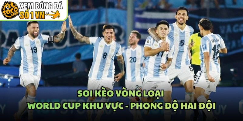 Soi Kèo Vòng Loại World Cup Khu Vực – Phong Độ Hai Đội
